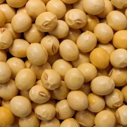 Quatro proteínas vegetais para substituir a carne