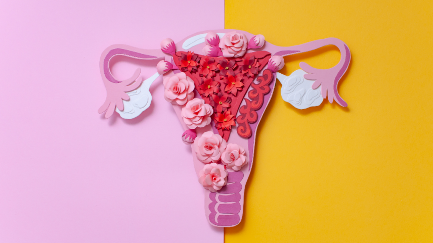 Planejamento da maternidade tem levado mais mulheres a considerar o congelamento de óvulos