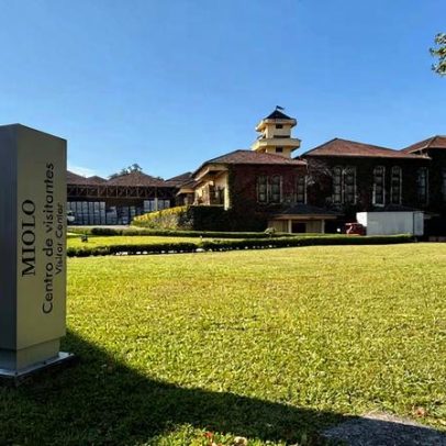 Vitivinicultura brasileira vira laboratório a céu aberto