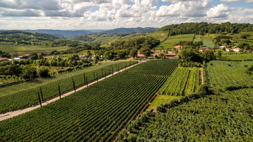 Vale dos Vinhedos une tradição, inovação e novos sabores