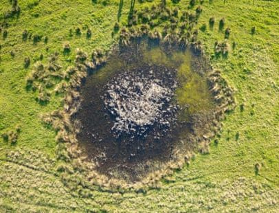 Londres marcada por V2 e Ucrânia: natureza prospera em crateras de bombas