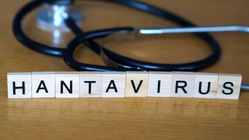 Atenção sobre o hantavírus cresce após novos episódios da doença