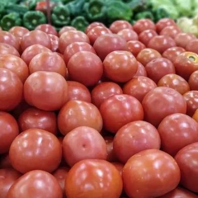 Tomate tem maior concentração de agrotóxicos e preço elevado, aponta estudo