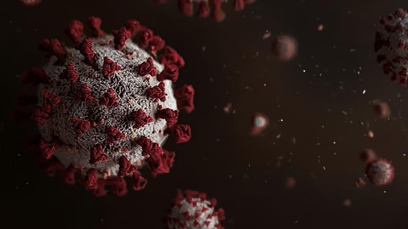 Cúpula africana na Índia é adiada por temores de surto de Ebola