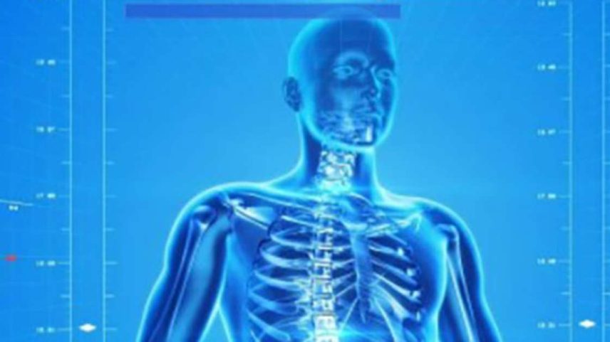 Alimentos ricos em ferro ajudam a prevenir anemia