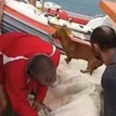 Marinha abre inquérito para acidente de moto aquática em Ilhabela