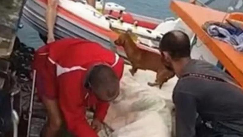 Marinha abre inquérito para acidente de moto aquática em Ilhabela