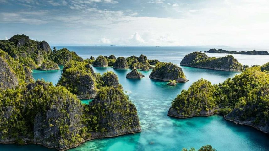 Raja Ampat, um dos ecossistemas marinhos mais ricos do mundo