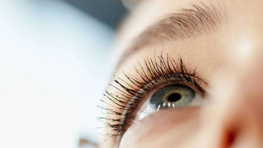 retina – depositphotos.com / Ischukigor