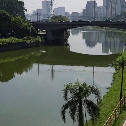 Emae vence disputa para administrar trecho do Parque Linear Bruno Covas