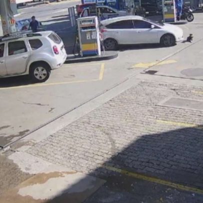 Homem é multado em R$ 15 mil após atropelar cachorro e fugir em Novo Hamburgo