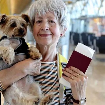 Cuidados obrigatórios para viajar com animais rumo à Copa do Mundo