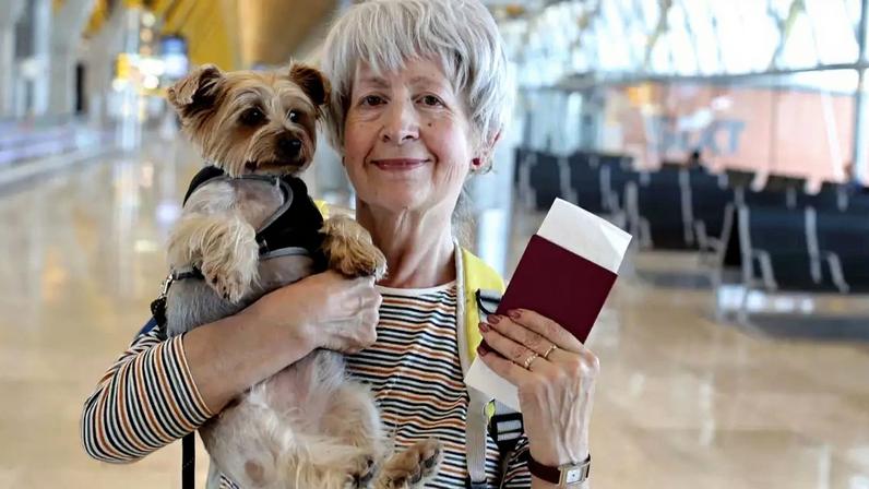 Vai viajar para a Copa do Mundo? Confira as regras urgentes de documentação e vacinas para levar seu cachorro ou gato para os EUA, México e Canadá