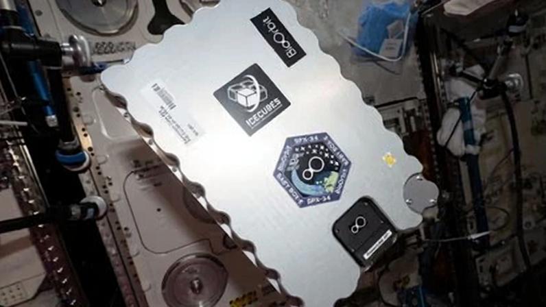 BioOrbit’s Box-E unit was launched on a rocket from Kennedy Space Center heading for the International Space Station.