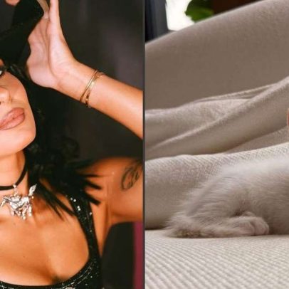 Ana Castela ganha gato em show, pai veta nome escolhido
