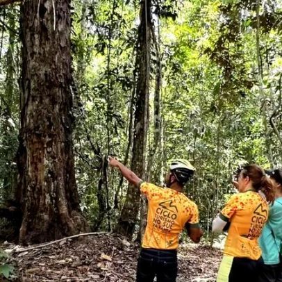 Turismo regenerativo: prática no Brasil para recuperar destinos onde praticar