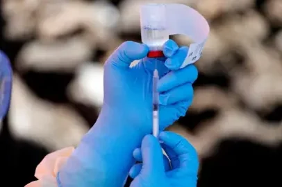 OMS declara surto de Ebola como emergência global de saúde