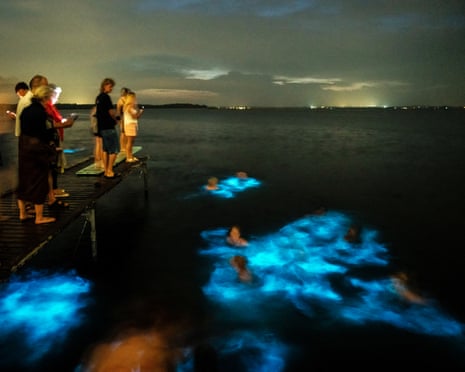 People gather at Veddelev beach on Roskilde fjord in Denmark to observe the phenomenon of bioluminescence.