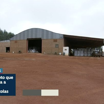 Adesão voluntária à certificação de armazéns agrícolas vai a sanção