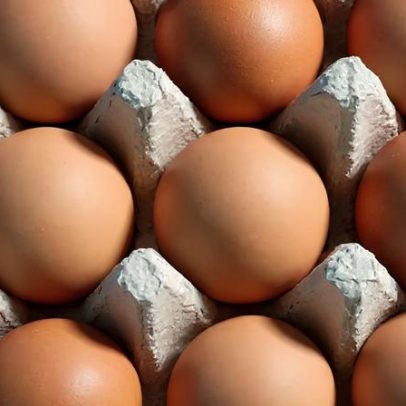 Ovos brancos e marrons: não há diferenças de saúde nem de nutrição