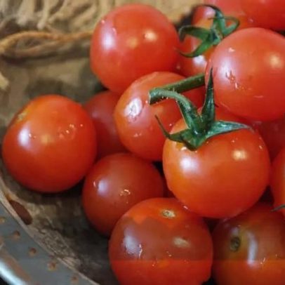 Tomate pode ajudar na prevenção de doenças e trazer benefícios à saúde