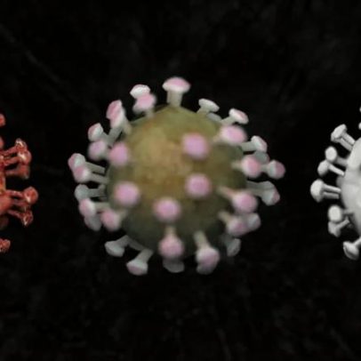 Endemia, epidemia e pandemia: entenda as diferenças de forma simples