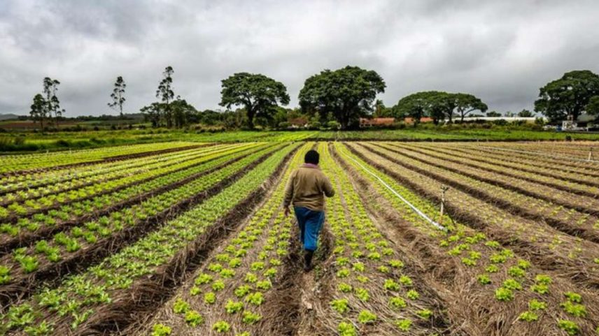 Primeira edição do Desenrola alcançou R$ 23 bilhões em renegociações de dívidas, atendendo a 507 mil agricultores