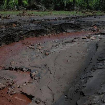 Julgamento na Alemanha sobre Brumadinho avança