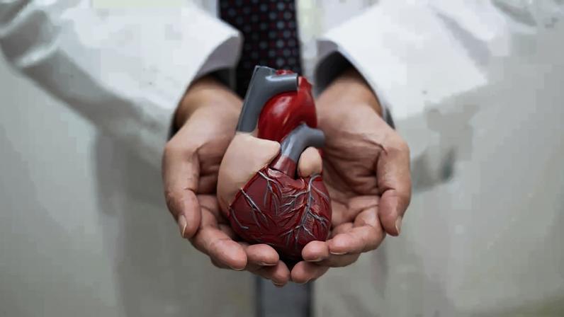A insuficiência cardíaca é uma condição em que o coração não consegue bombear sangue de forma adequada para atender às necessidades do organismo – depositphotos.com / sweet_tomato