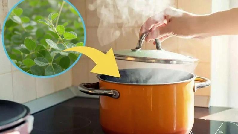 Esse hábito antigo que perfuma o ambiente, melhora a respiração e ajuda a reduzir o estresse. /