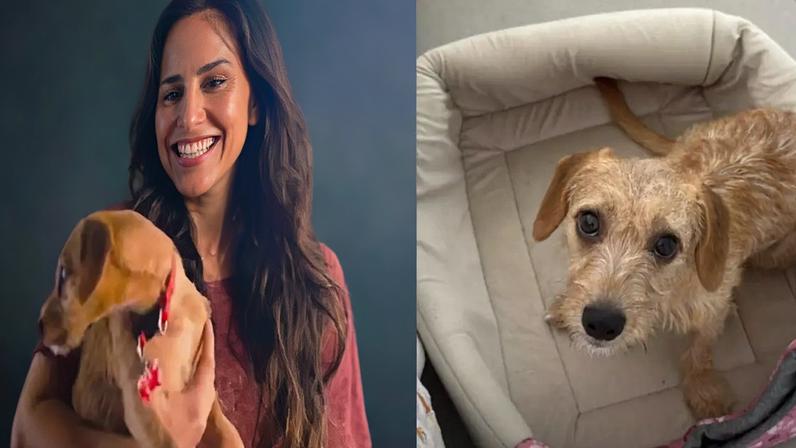 A cachorrinha Paçoca roubou a cena em “Quem Ama Cuida” e virou sucesso nas redes sociais; conheça a pet que conquistou público