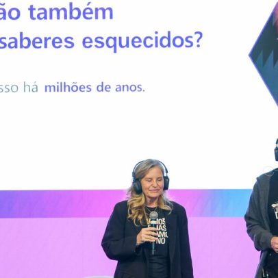 Abelhas sustentam 70% das espécies vegetais brasileiras, apontam especialistas.