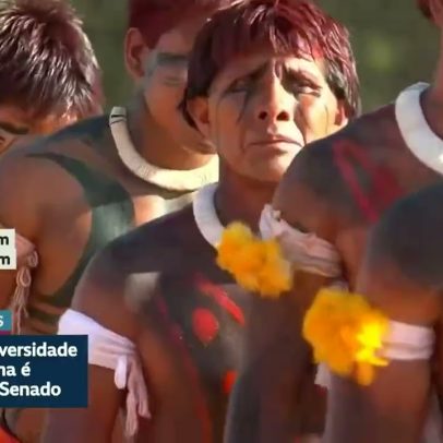 Senado aprova criação de universidade federal indígena