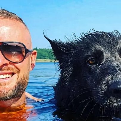 Nya, o cão de terapia que faz todos sorrirem