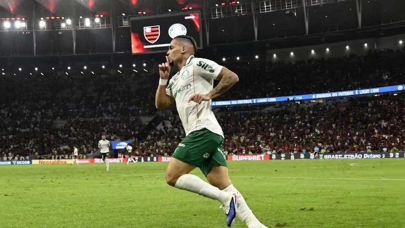 Paulinho marca para o Palmeiras e provoca torcida do Flamengo — Foto: André Durão
