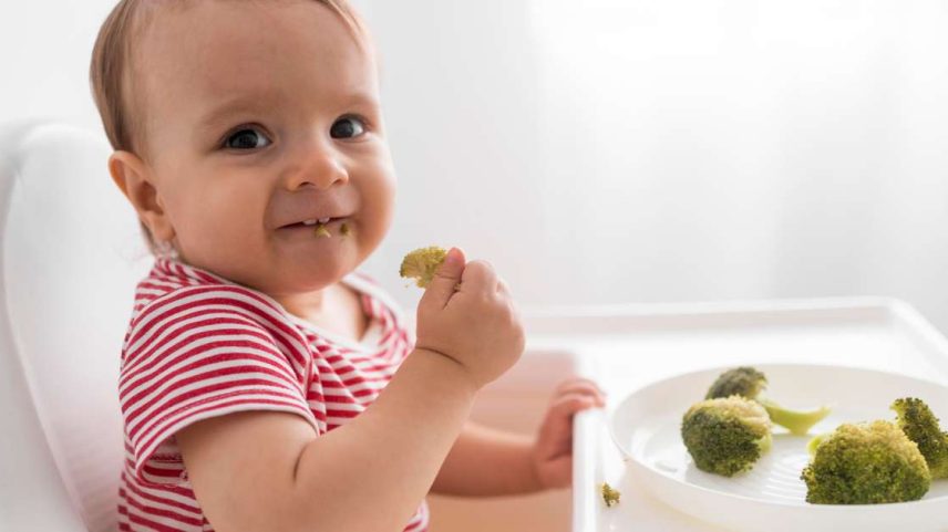Quando o bebê completa 1 ano, o Ministério da Saúde recomenda nutrientes como vitamina D e ferro