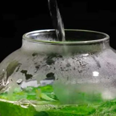 Diferença entre hortelã e menta: características e usos