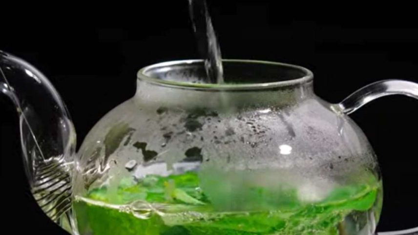 Diferença entre hortelã e menta: características e usos