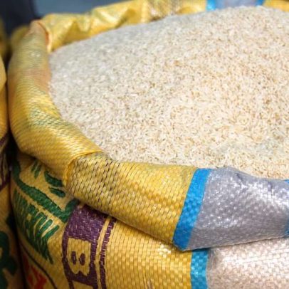 Arroz tem mais variedades do que muitos imaginam