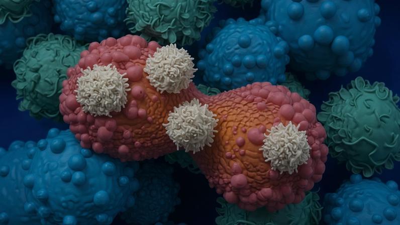 In CAR T-cell cancer treatment,T-cells are extracted from patients, genetically engineered to better hunt down cancerous cells, then infused back into the patient – and are able to prevent cancer relapses, in best-case scenarios.