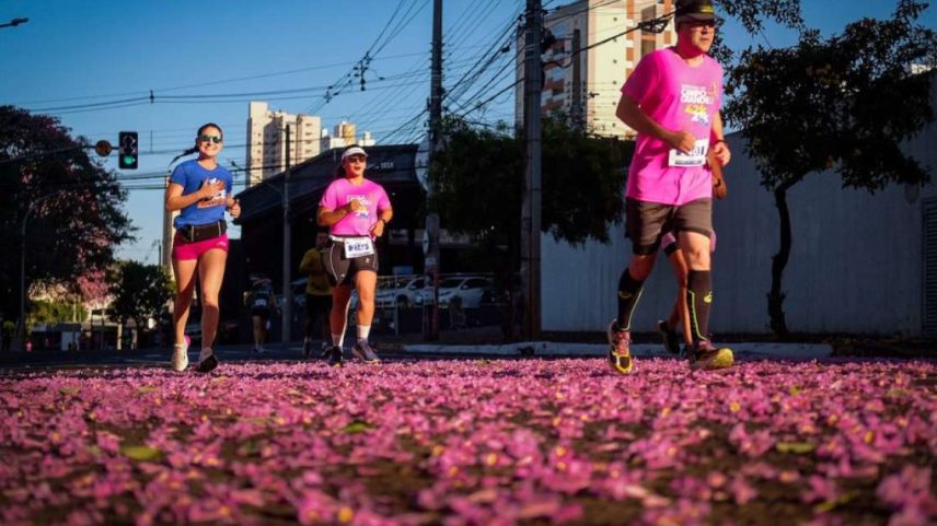 Evento pretende reunir 6 mil corredores em 2026 (Foto: Marianne Herrero)