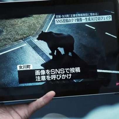 Mais de 14 mil ursos mortos no Japão em um ano após onda de ataques