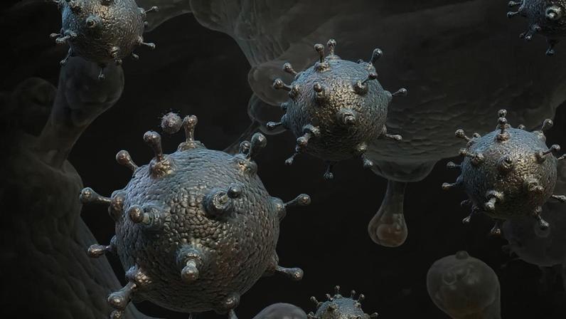 Nem só bactérias: vírus do microbioma entram no radar da ciência – depositphotos.com / rbhavana