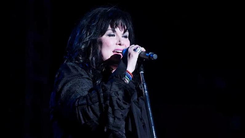 Ann Wilson, do Heart