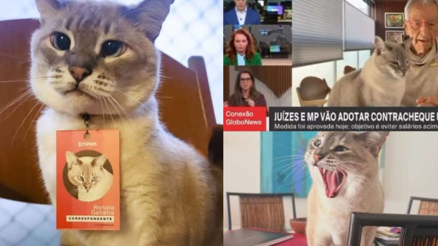 Renata, gata do jornalista e comentarista Fernando Gabeira, consolidou