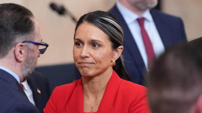 Chefe de Inteligência de Trump Tulsi Gabbard demite citando câncer do marido
