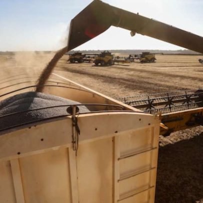 Câmara faz mutirão para votar projetos ligados ao agronegócio nesta semana