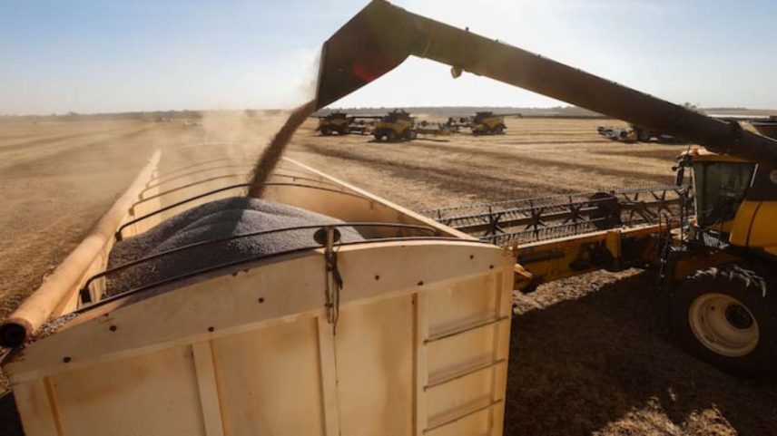 'Dia do Agro': Câmara terá ‘mutirão’ para votar projetos ligados ao agronegócio nesta semana
