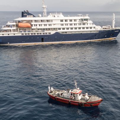 Cruzeiros: por que avistamentos de ratos a bordo são tão raros