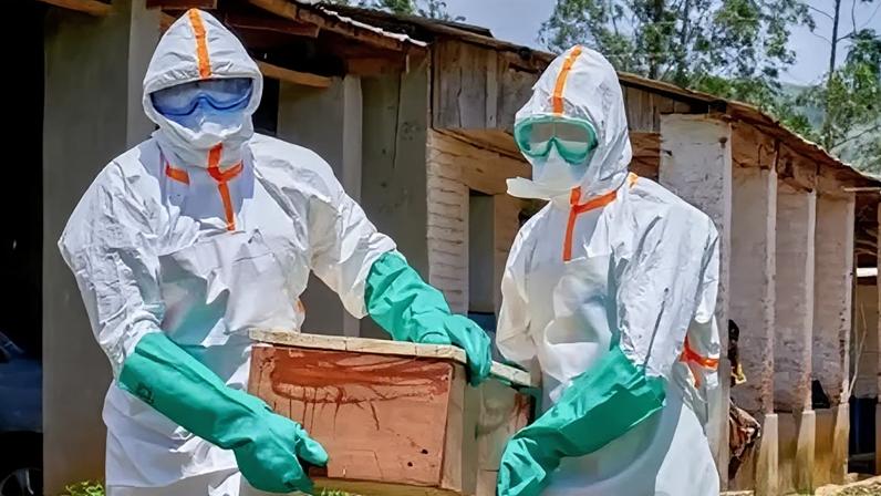 Reuters Two people in full PPE - white suits and green rubber gloves - carry a coffin.